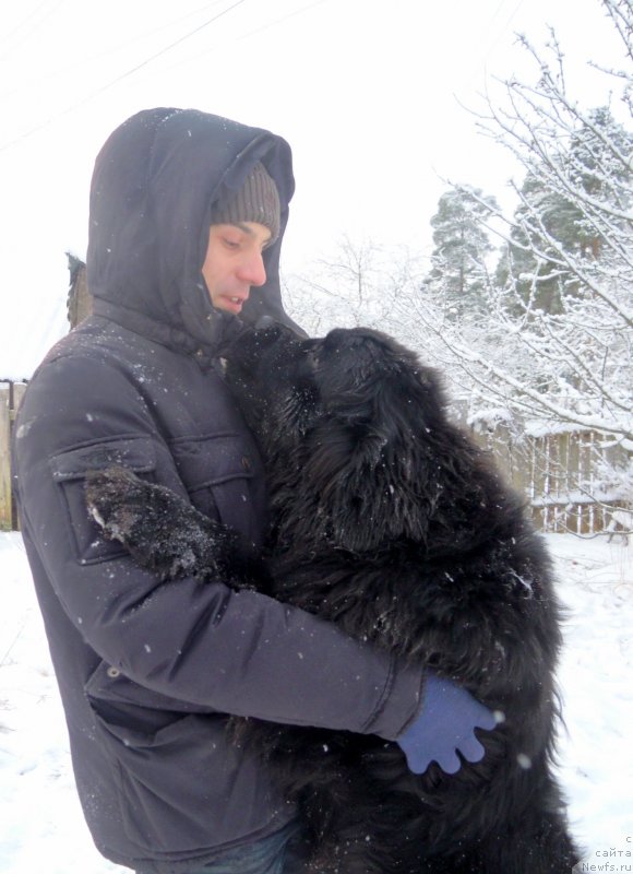 Фотография № 144249