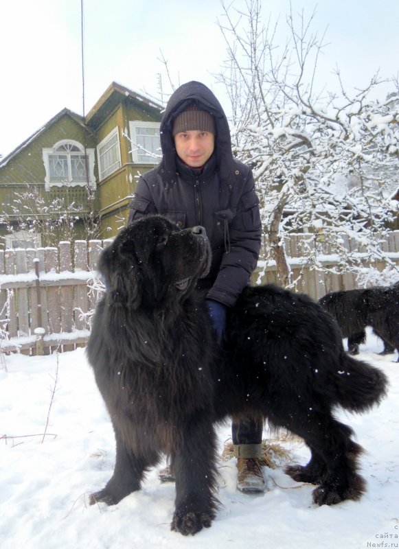 Фотография № 144250