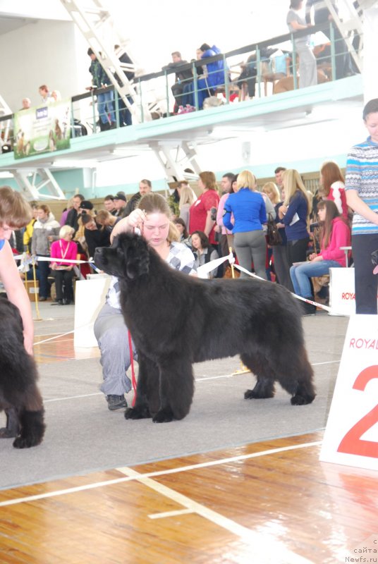 Фотография № 144307