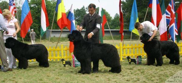 Фотография № 14441