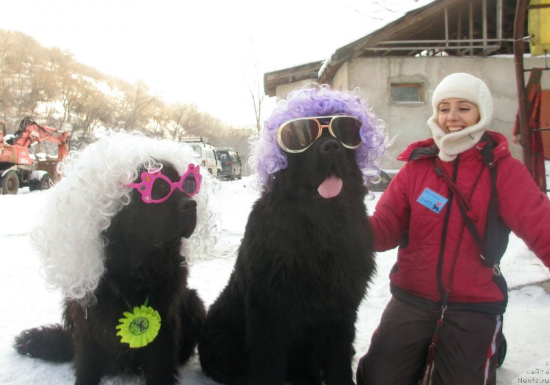 Фото: ньюфаундленд Флюфи Аваланч Экспресс Юоур Сулф (Fluffy Avalanch Exspress Your Self), Кристина Тамаренко, ньюфаундленд Сент Джонс Улла для Кара Аюлар (Sent Djons Ulla for Kara Ayular)