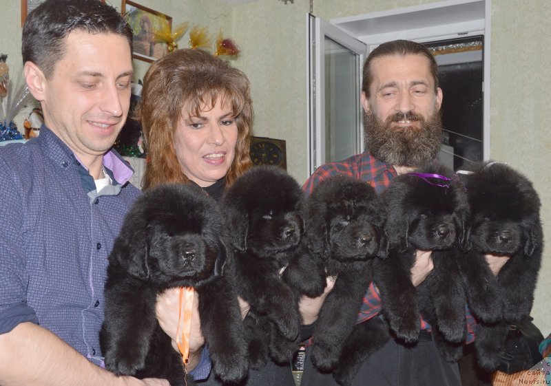 Фото: Смигар Уймари Урхо, Смигар Уголек Покоритель Космоса, Смигар Ученик Чародея, Смигар Управдом Друг Человека, Смигар Удельный Князь Снегодар