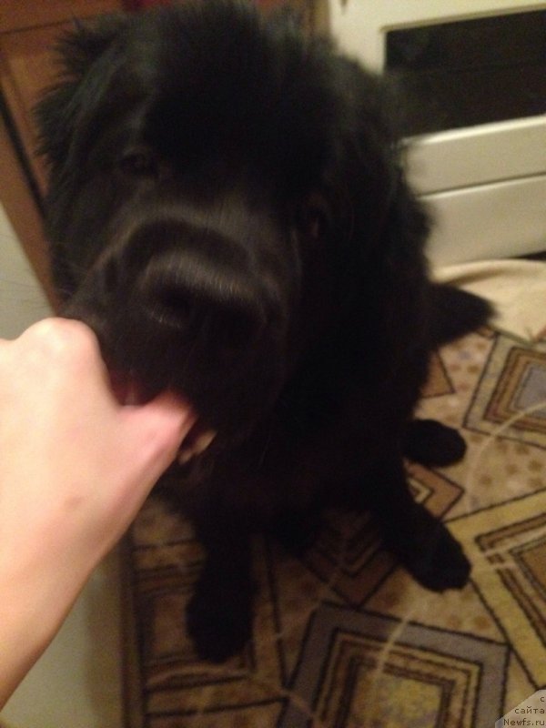 Фото: Наталья Медведь