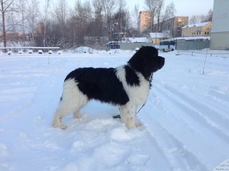 Фотография № 144475