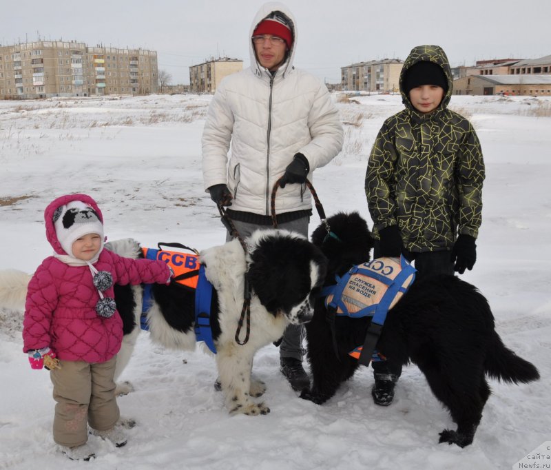 Фотография № 144544