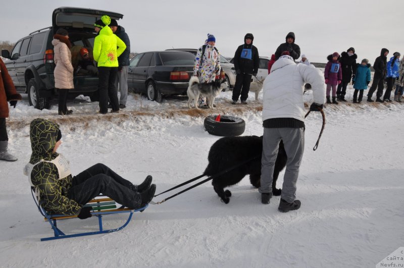 Фотография № 144545