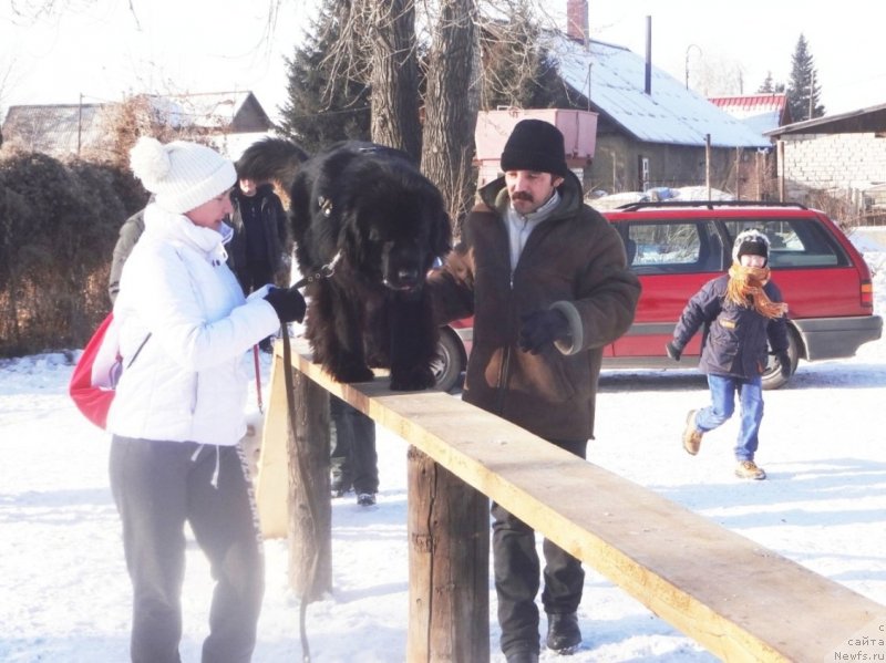 Фото: ньюфаундленд Би Перфект Арабелла, Ирина Павлова, мой муж Дима и старший сынок Миша