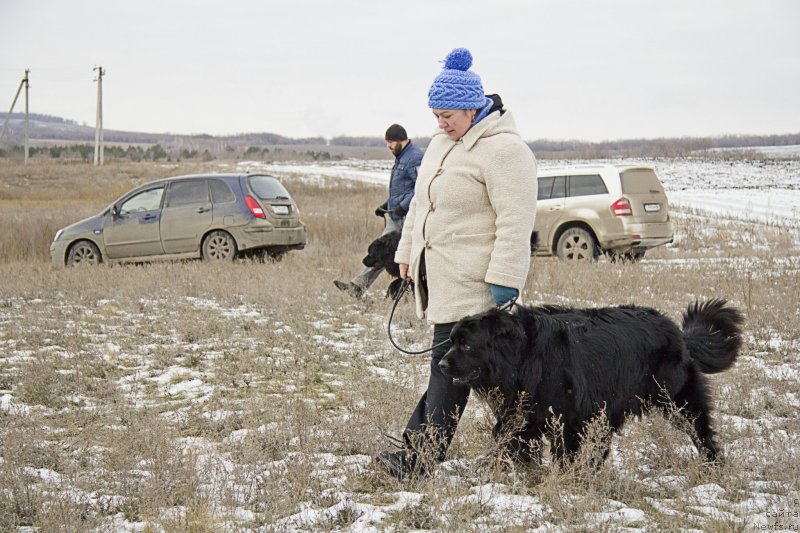 Фотография № 144565