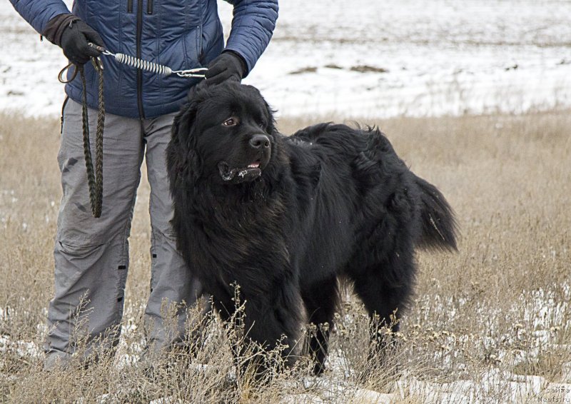 Фотография № 144566