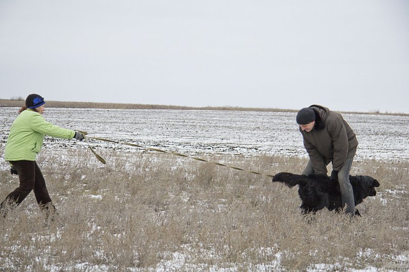 Фотография № 144567