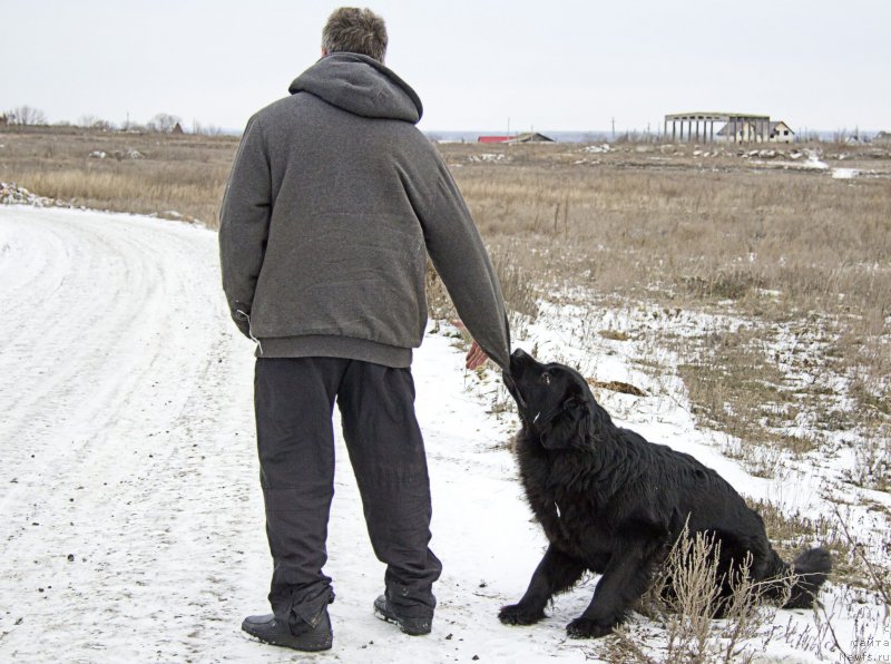 Фотография № 144568