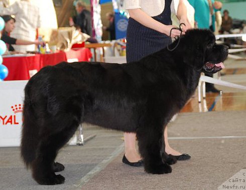 Фотография № 144569