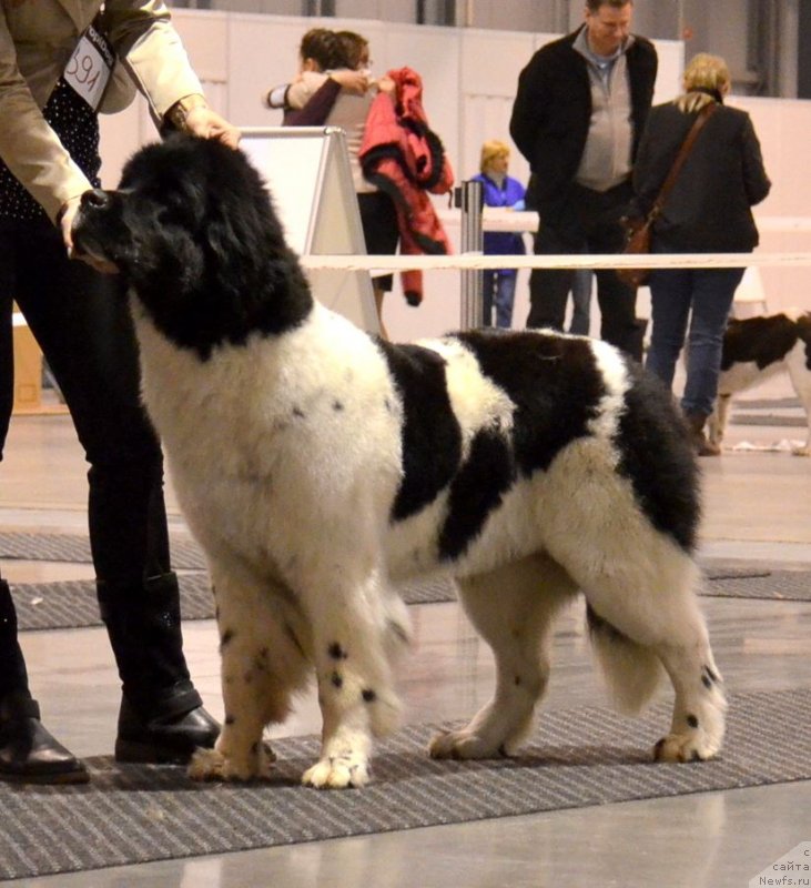 Фотография № 144577