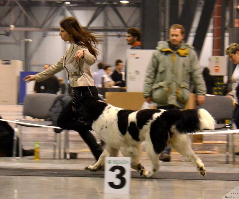 Фотография № 144578