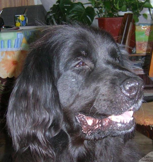 Фотография № 14459