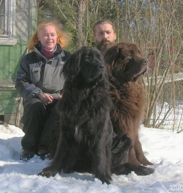 Фото: Любовь Жакова, ньюфаундленд Сент Джонс Джуди, Александр Жаков, ньюфаундленд Смигар Афанасий (Smigar Afanasiy)
