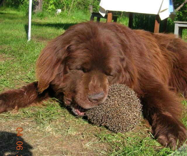 Фотография № 14462