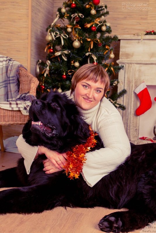 Фото: Елизавета Павлова, ньюфаундленд Русалочка из Племени Кедра (Rusalochka iz Plemeni Kedra)