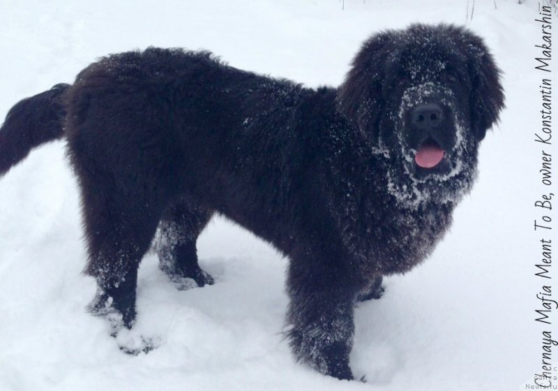 Фотография № 144800