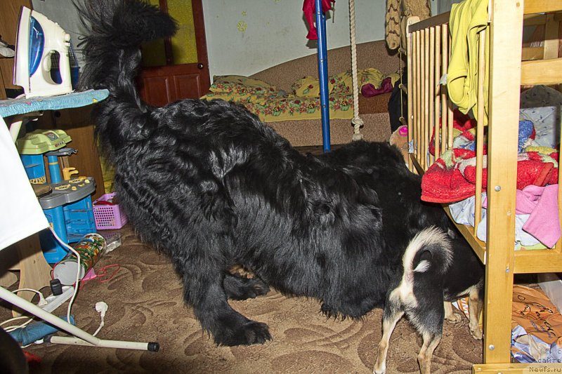 Фотография № 144804