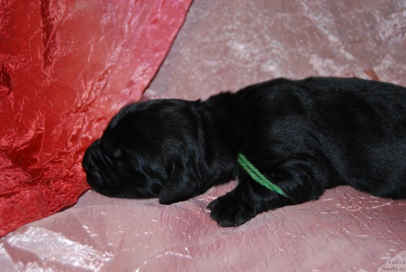 Фотография № 144810