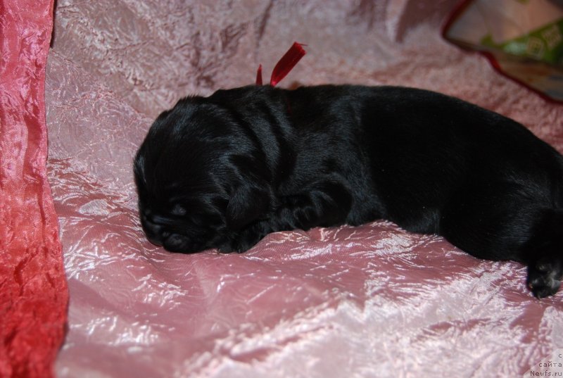 Фотография № 144813