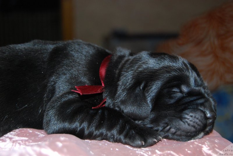 Фотография № 144814