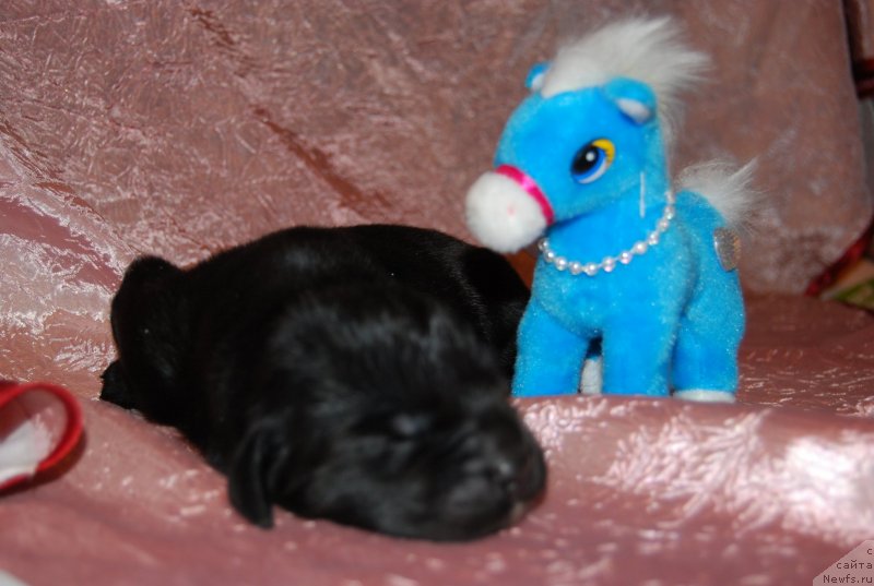 Фотография № 144817