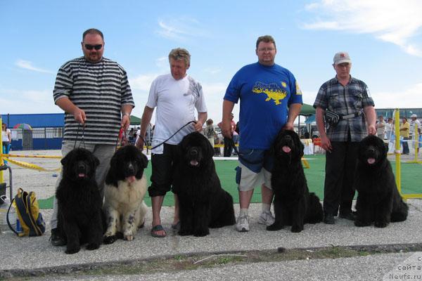 Фотография № 14482