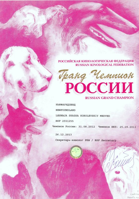 Фотография № 144856