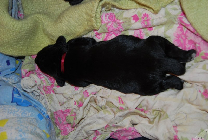 Фотография № 144857