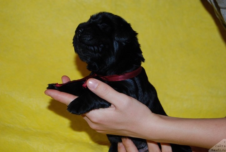 Фотография № 144860