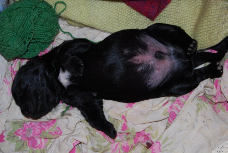 Фотография № 144861