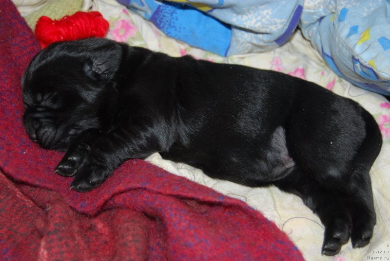 Фотография № 144864