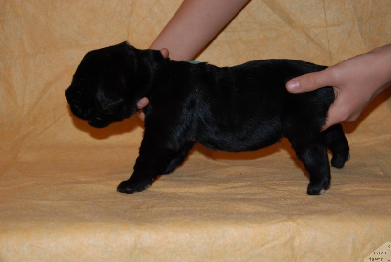 Фотография № 144868