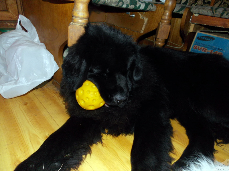 Фотография № 144874