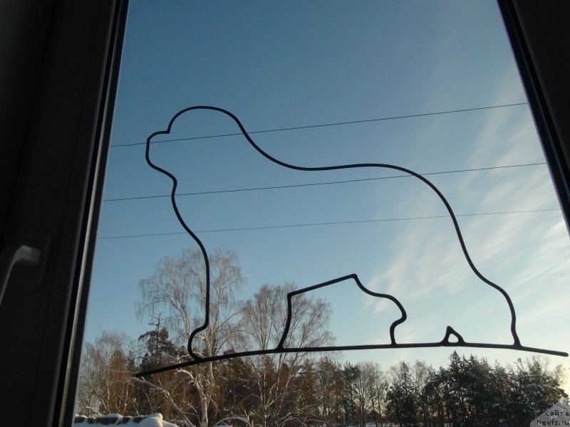 Фотография № 144893