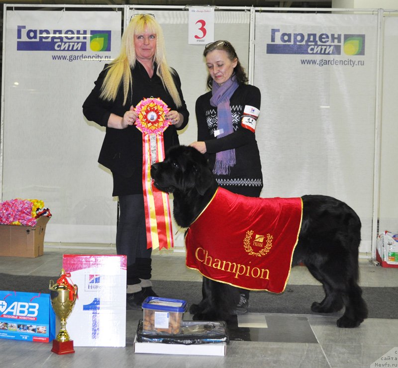 Фотография № 144902