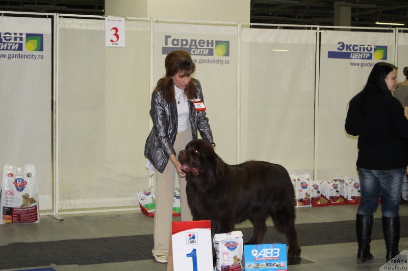 Фотография № 144916