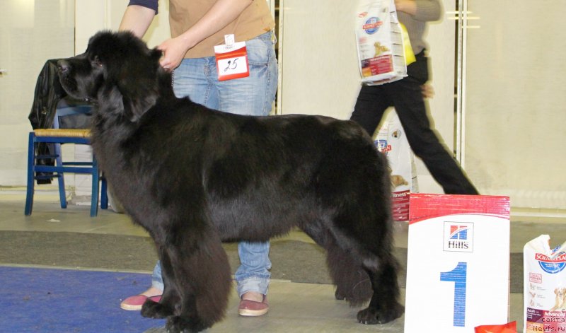 Фотография № 144923