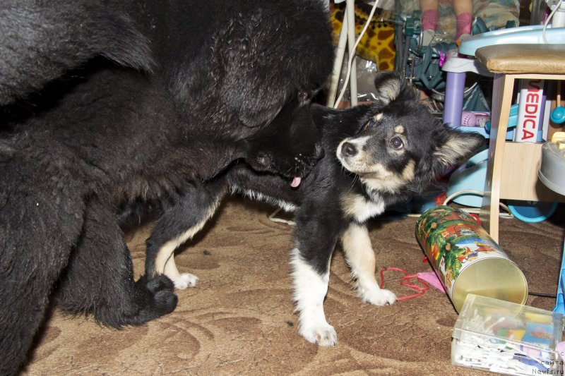 Фотография № 144924