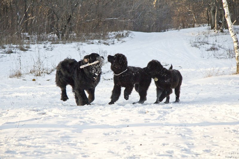 Фотография № 144925