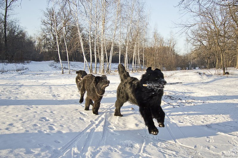 Фотография № 144926