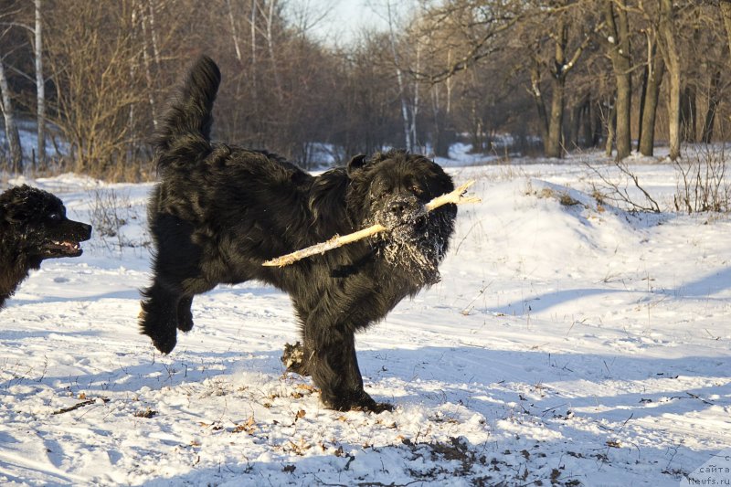 Фотография № 144927