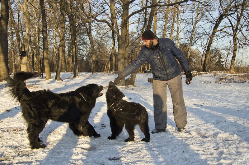 Фотография № 144928