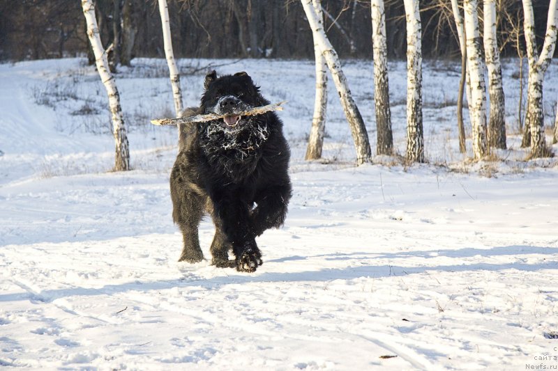 Фотография № 144929