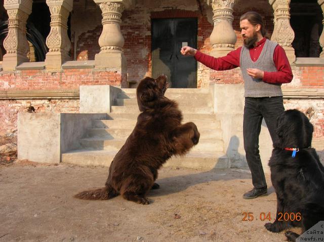 Фотография № 14493