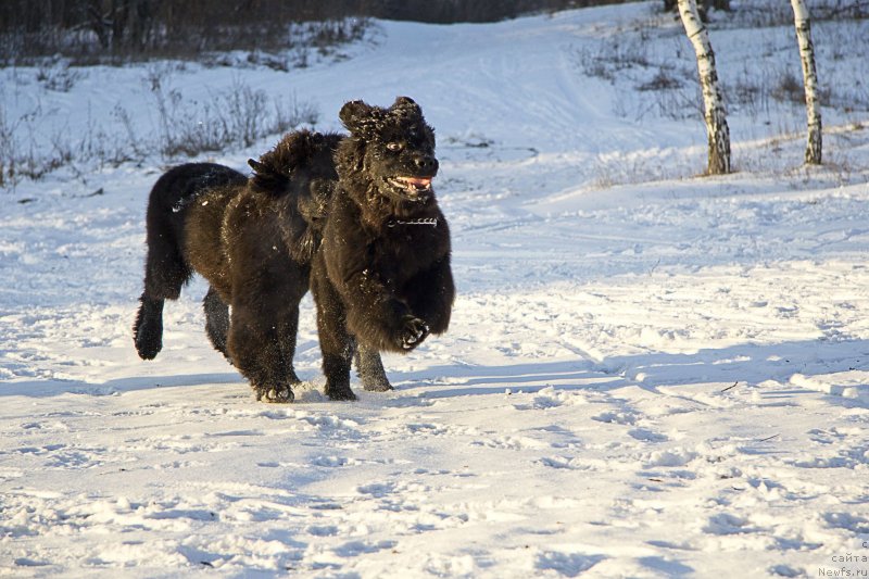 Фотография № 144931