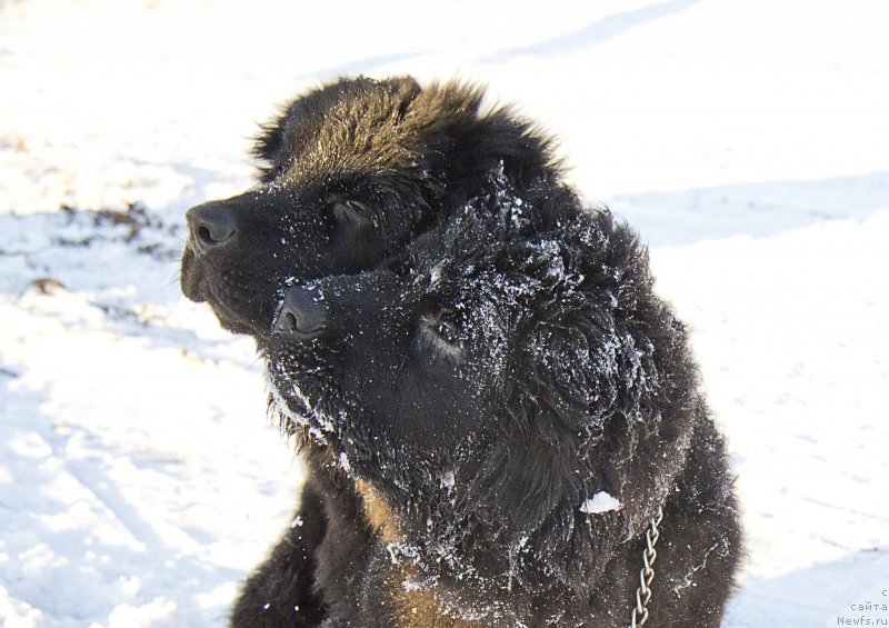 Фотография № 144932