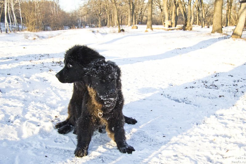 Фотография № 144933